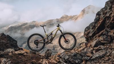 Rocky Mountain Instinct