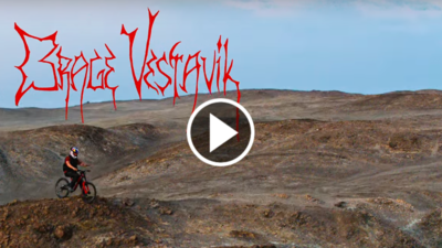 Brage Vestavik