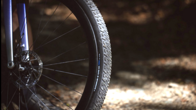 Schwalbe 32