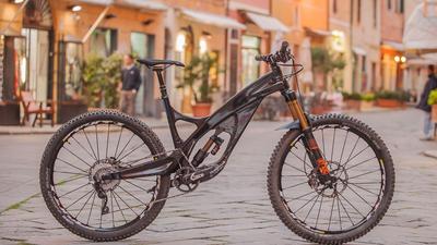Arbor Saker