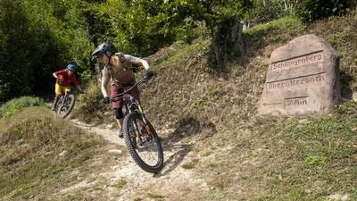 Südpfälzer Grenztour
