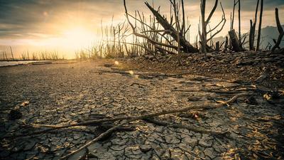 Theewaterskloof