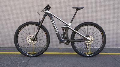 Test Canyon Strive CFR 9.0 Team 2019