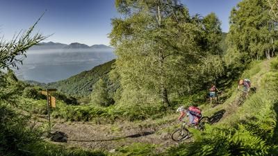 Tessin Mountainbike Cardada Locarno