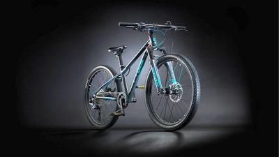 Frog Bikes