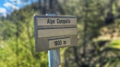 Alpe Campelli (Sondrio)