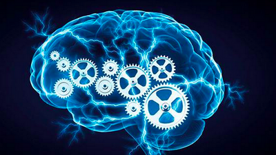 Infotech 2017, Brain