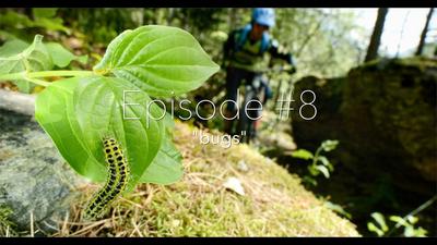Ludo et son Velé – Episode 8