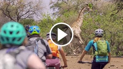 Mashatu Bike-Safari by Sven Martin