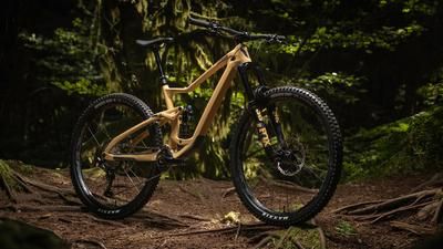 Devinci Troy 2021