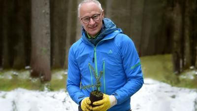 Schöffel pflanzt 30'000 Bäume