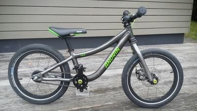 Quinter Kidsbike 2016