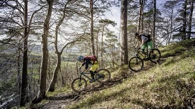 Mountainbike Basel Singletrail