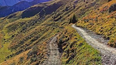 Älplisee Trail Arosa