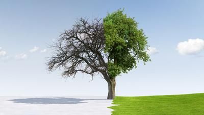 Winter-Sommer