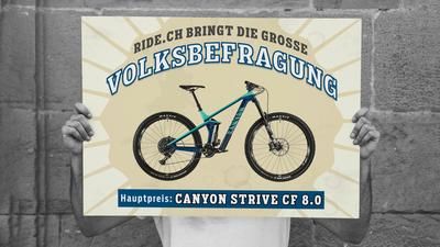 Leserumfrage 2019