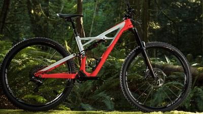 Specialized Enduro 2017