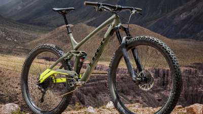 Trek Full Stache