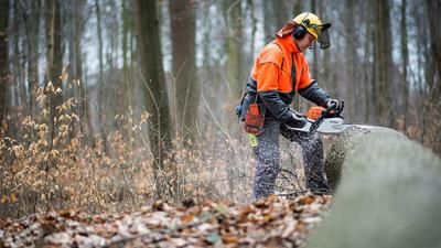 Waldarbeiter (Foto: Henning Welslau / flickr)