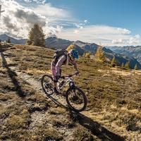 Firstkogel