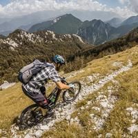 Forca Campidello